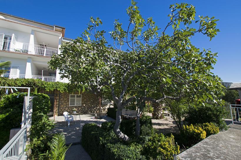 Apartment Duda Starigrad Paklenica Bilik gambar